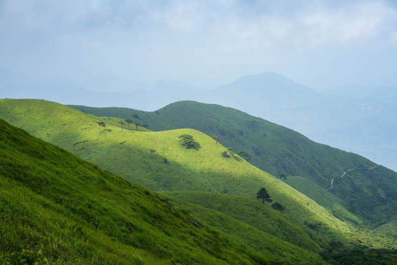 青山绿野 云雾缭绕图片