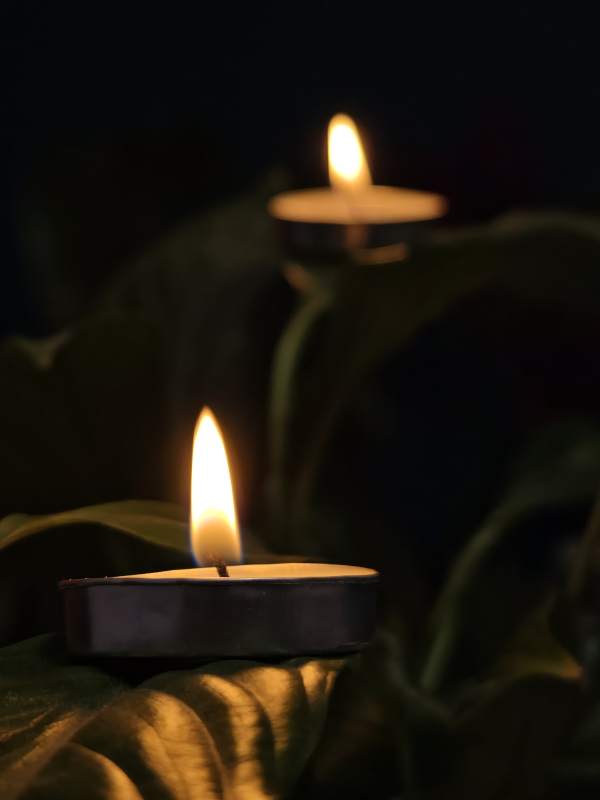 烛光映叶 静谧夜色图片