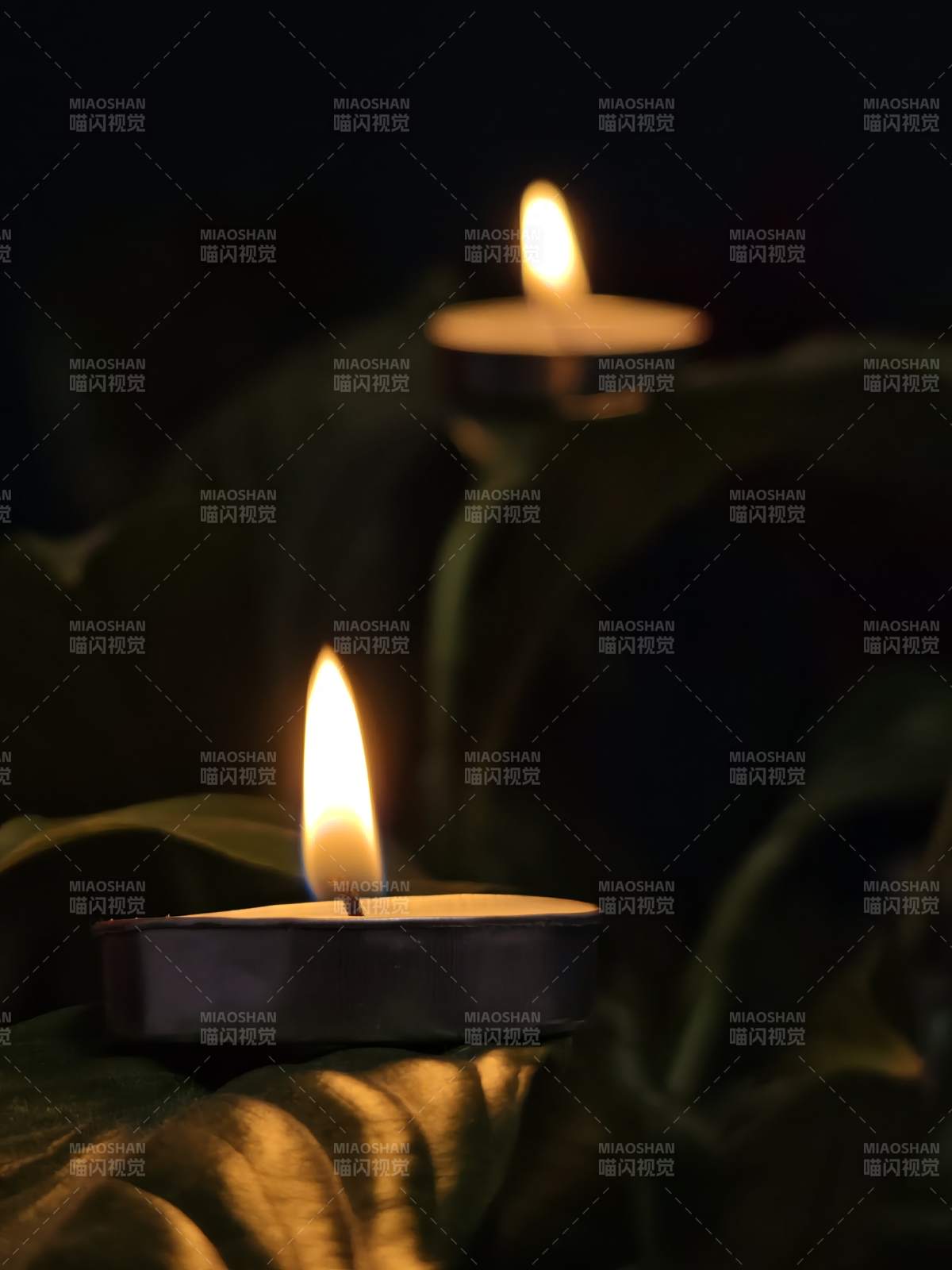 烛光映叶 静谧夜色图片