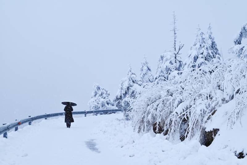 雪中独行 伞下寒风图片
