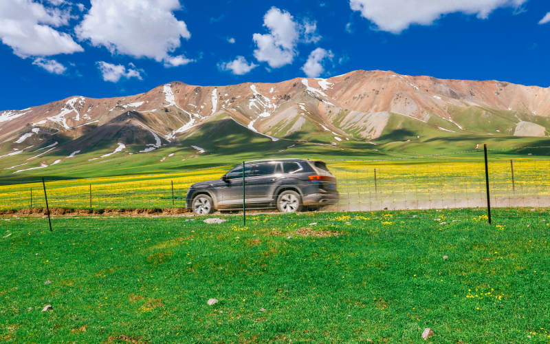 伊犁草原上的越野车之旅图片