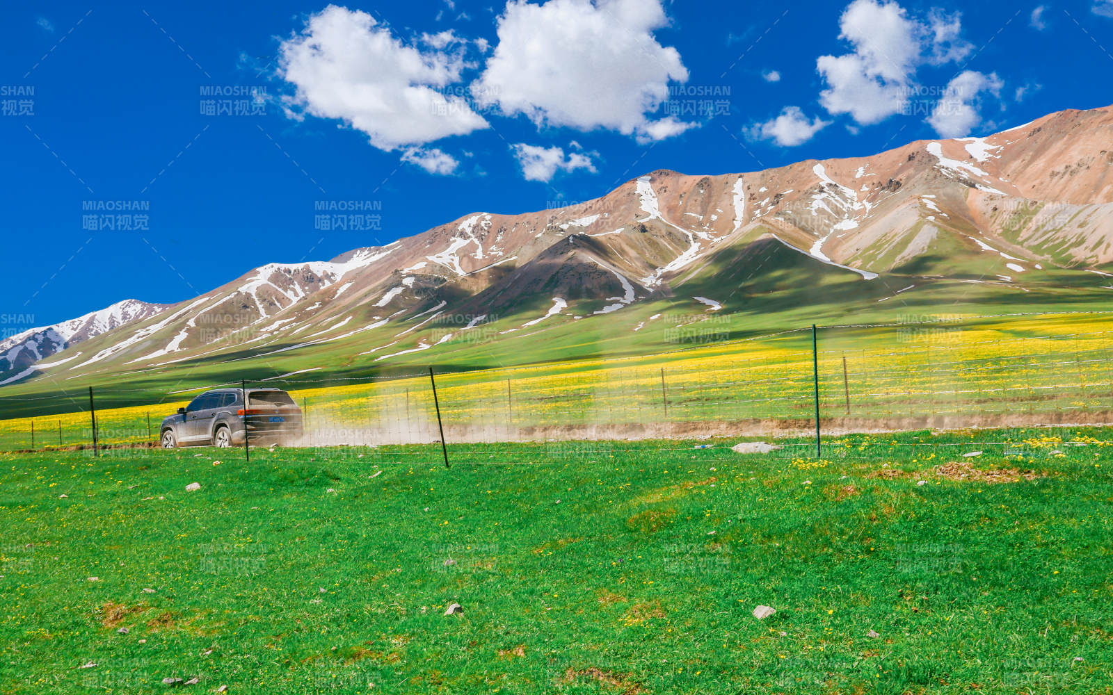 伊犁草原风光 雪山映衬图片