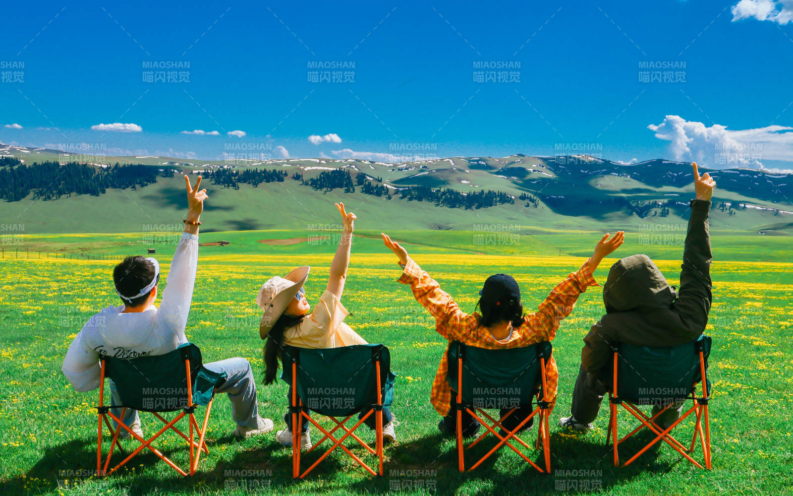 草原上的欢乐时光图片