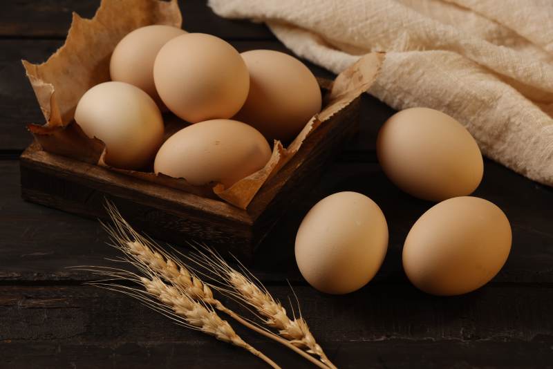 新鲜鸡蛋与麦穗静物图图片