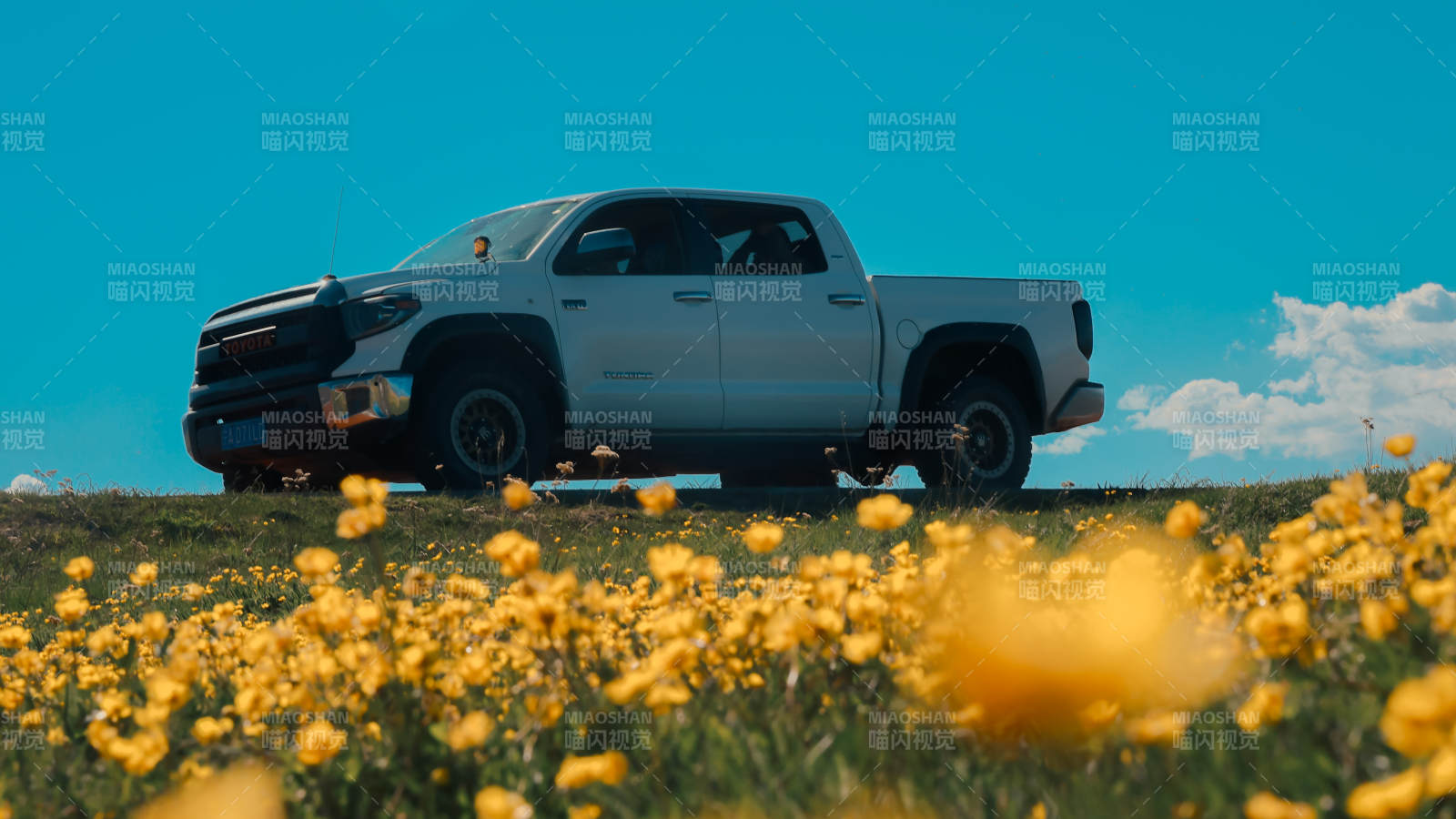 田野花海中的银色皮卡图片