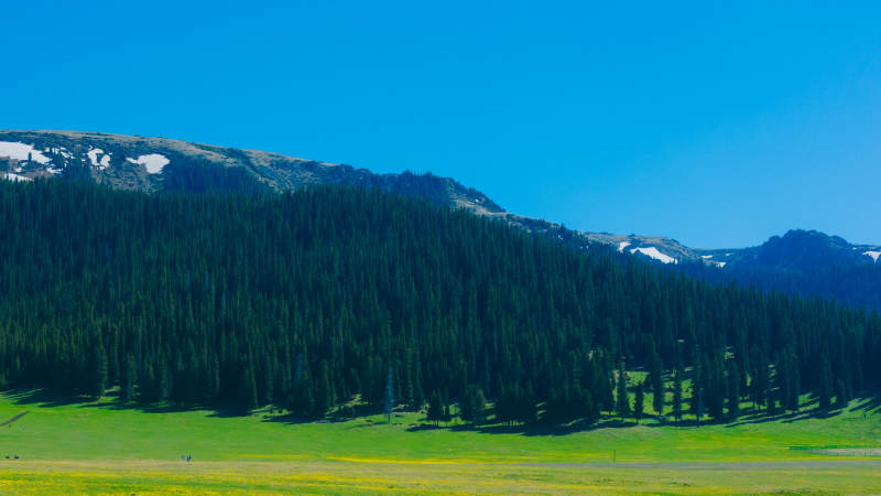 伊犁山林绿野晴空万里图片