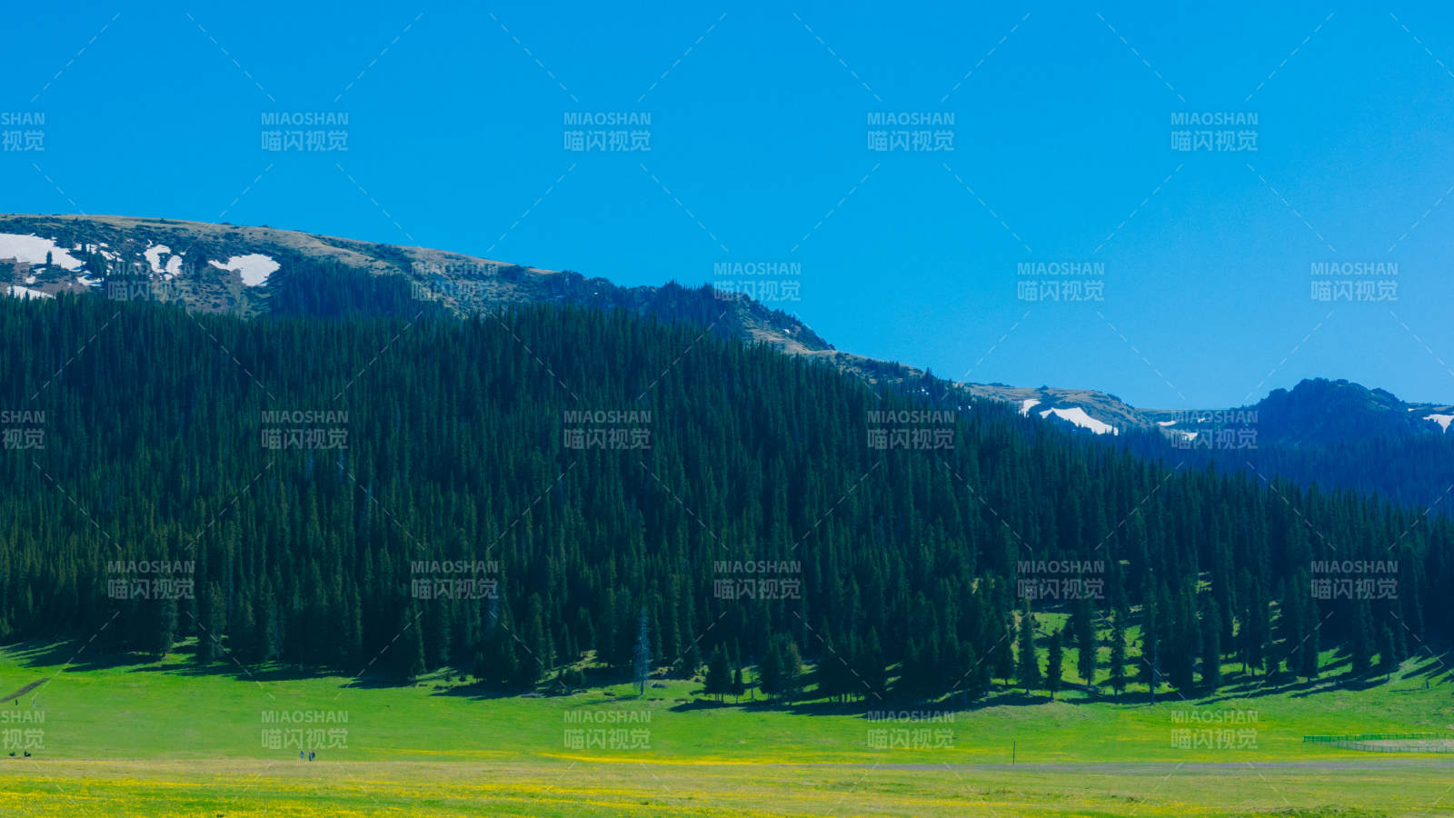 伊犁山林绿野晴空万里图片