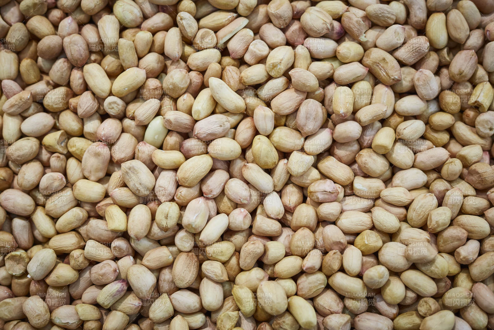 花生粒背景图图片
