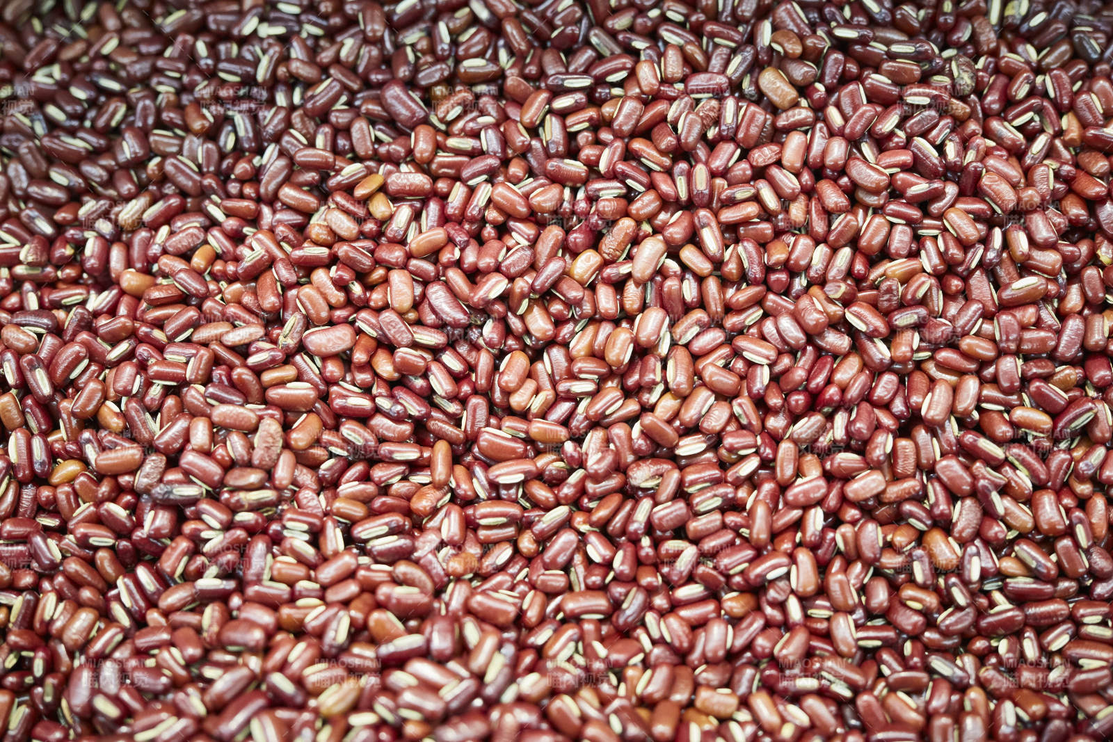 红小豆背景图图片