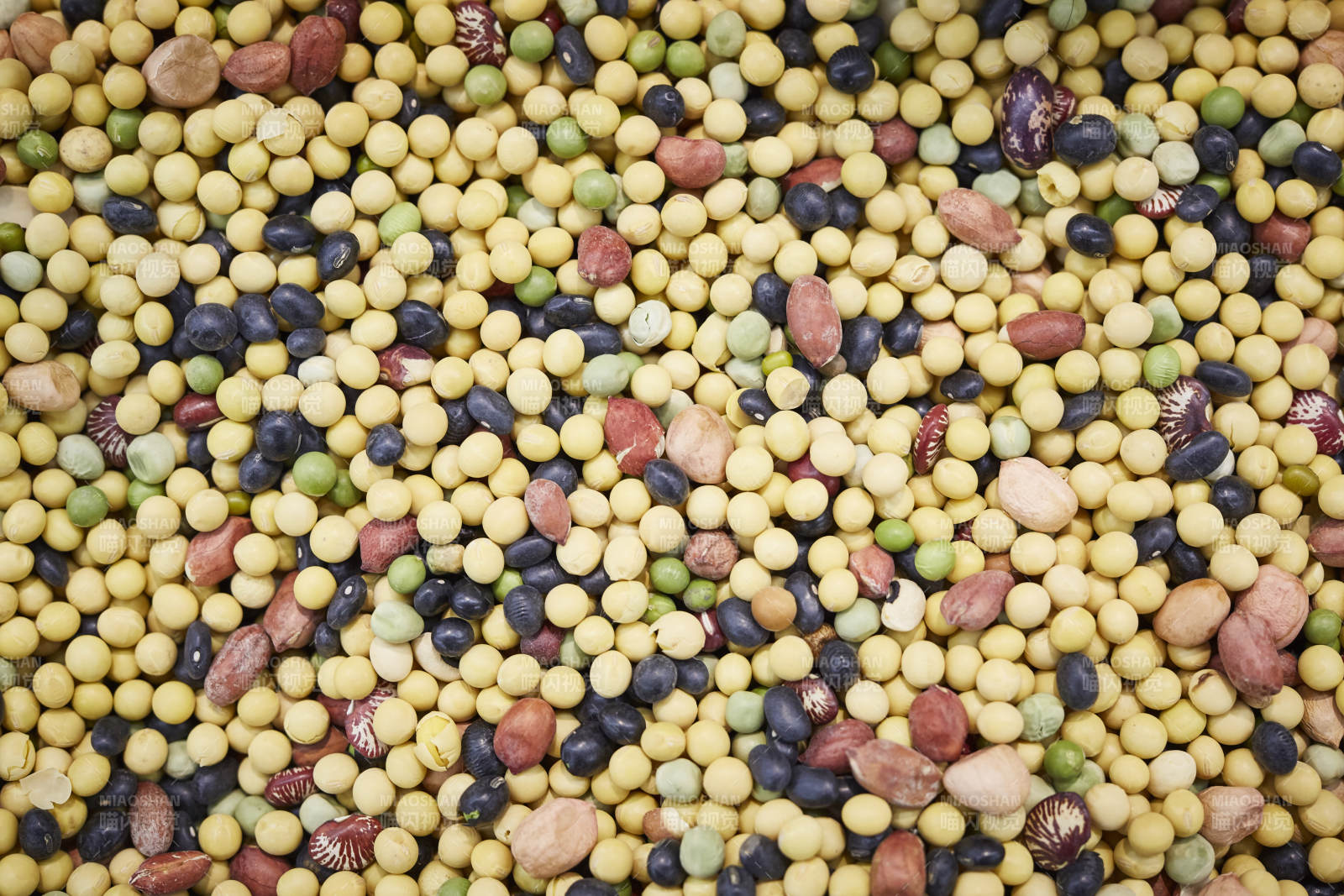 五彩斑斓的豆类混合物图片