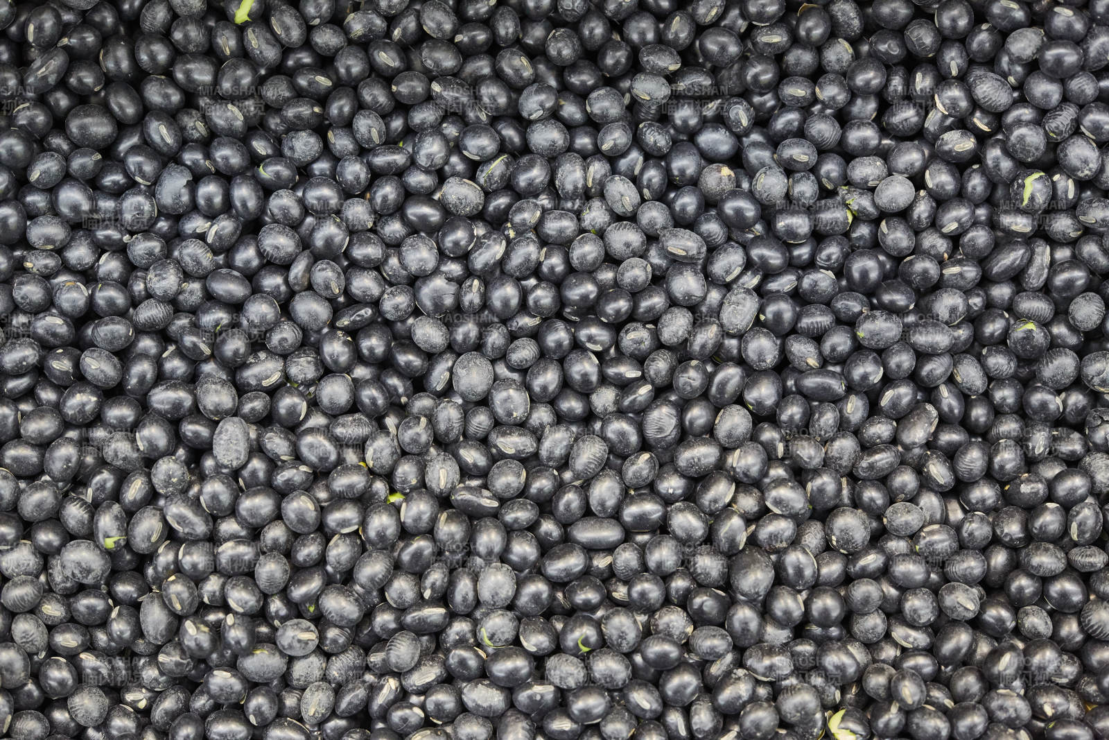 黑豆背景纹理特写图片