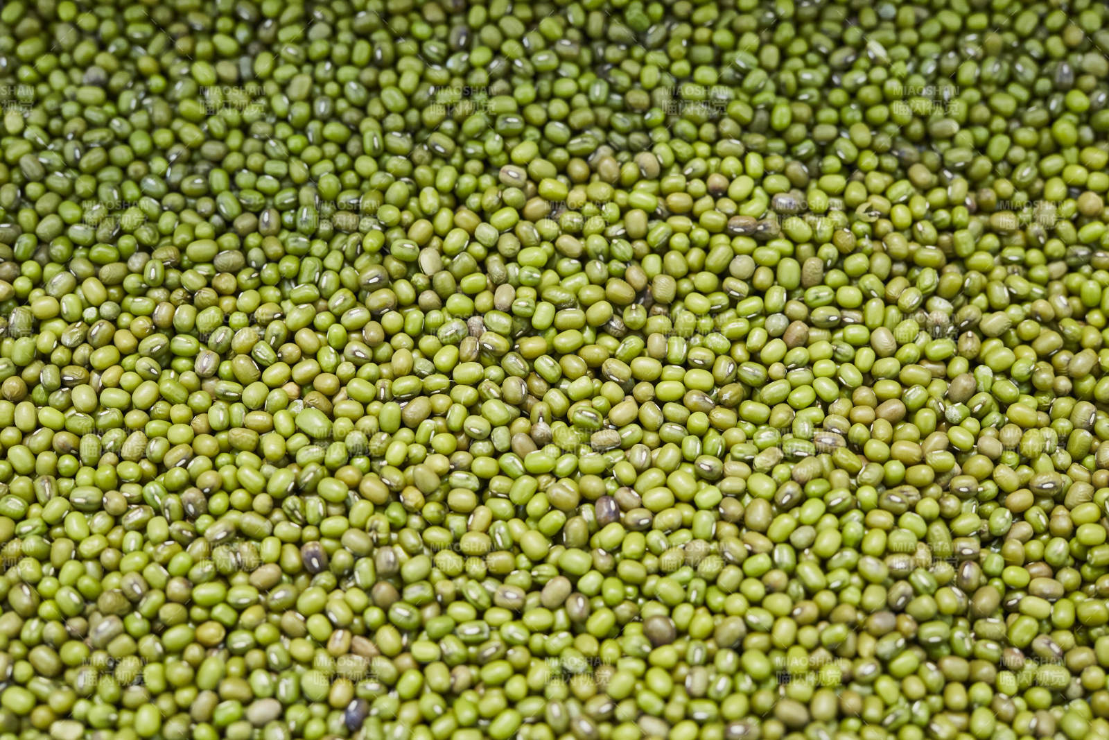 绿豆背景特写图图片