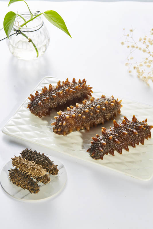 海参美食 营养丰富图片