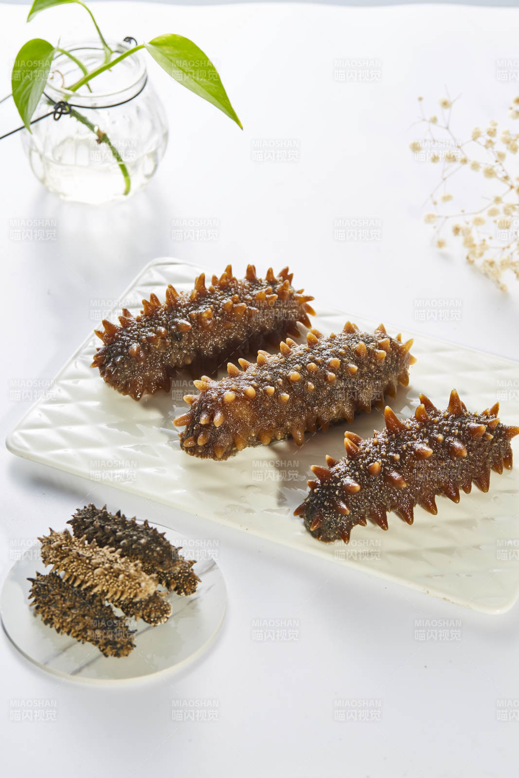 海参美食 营养丰富图片