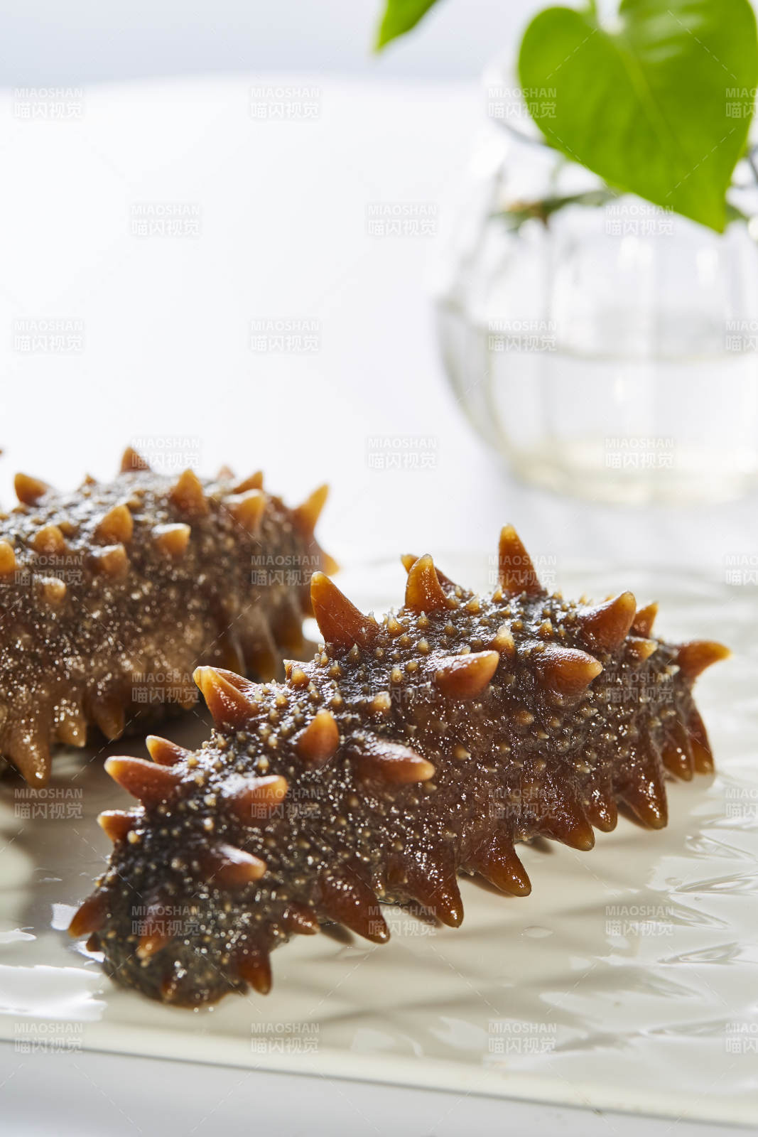 海参美食 清新摆盘图片