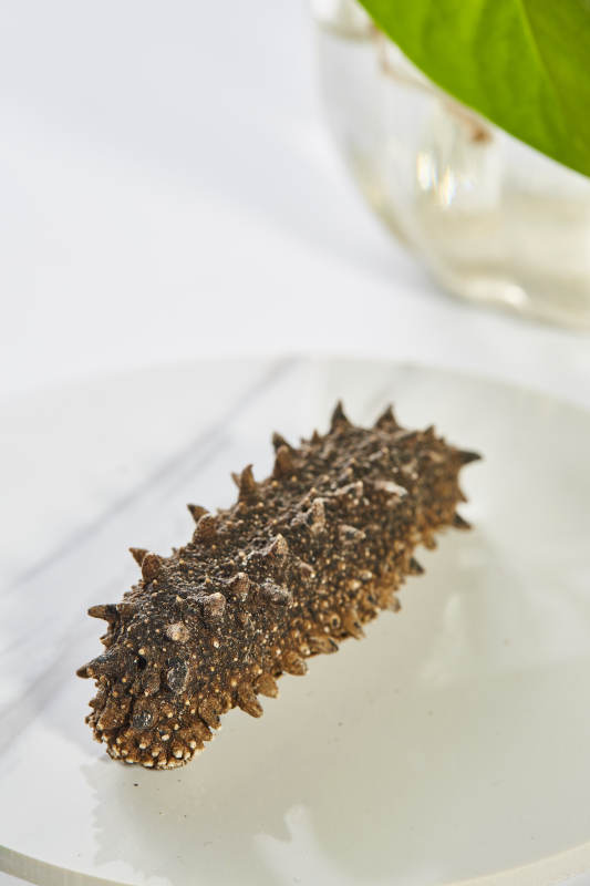 海参静置盘中特写图片