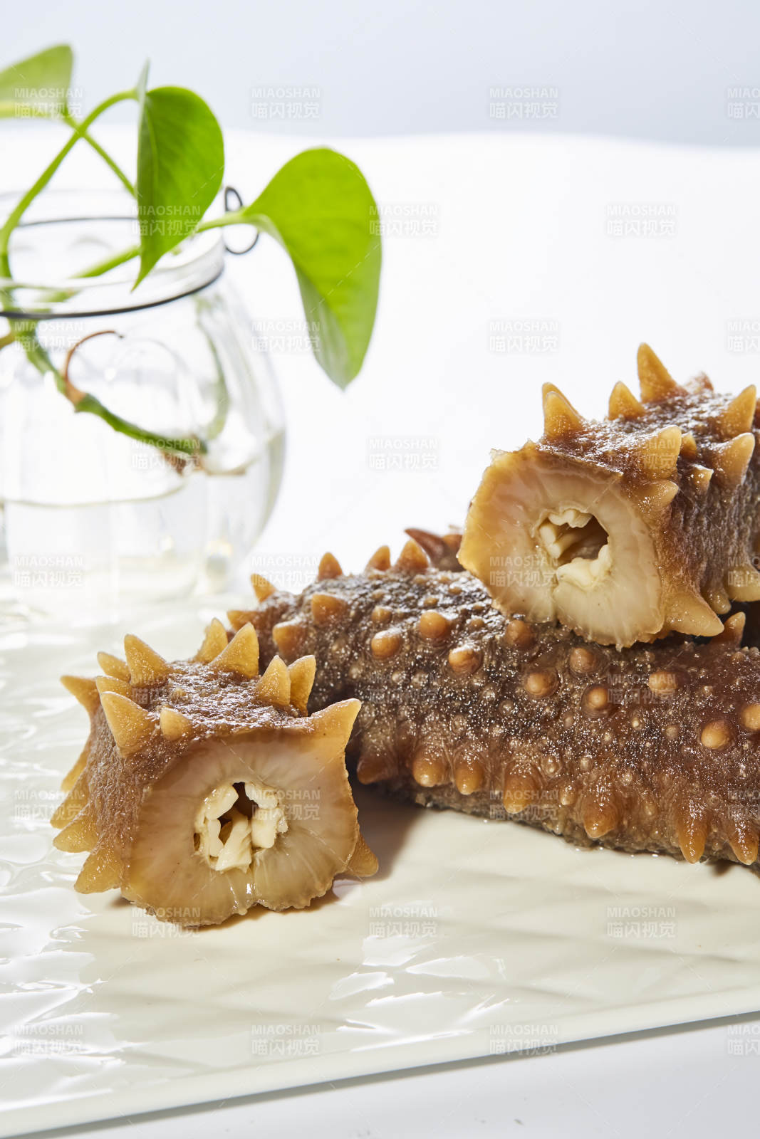 海参美食 清新点缀图片