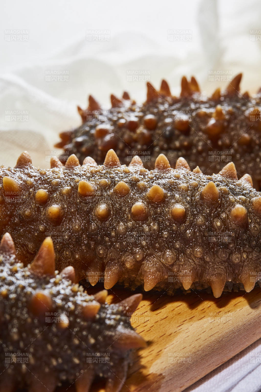 海参特写 质感细腻图片