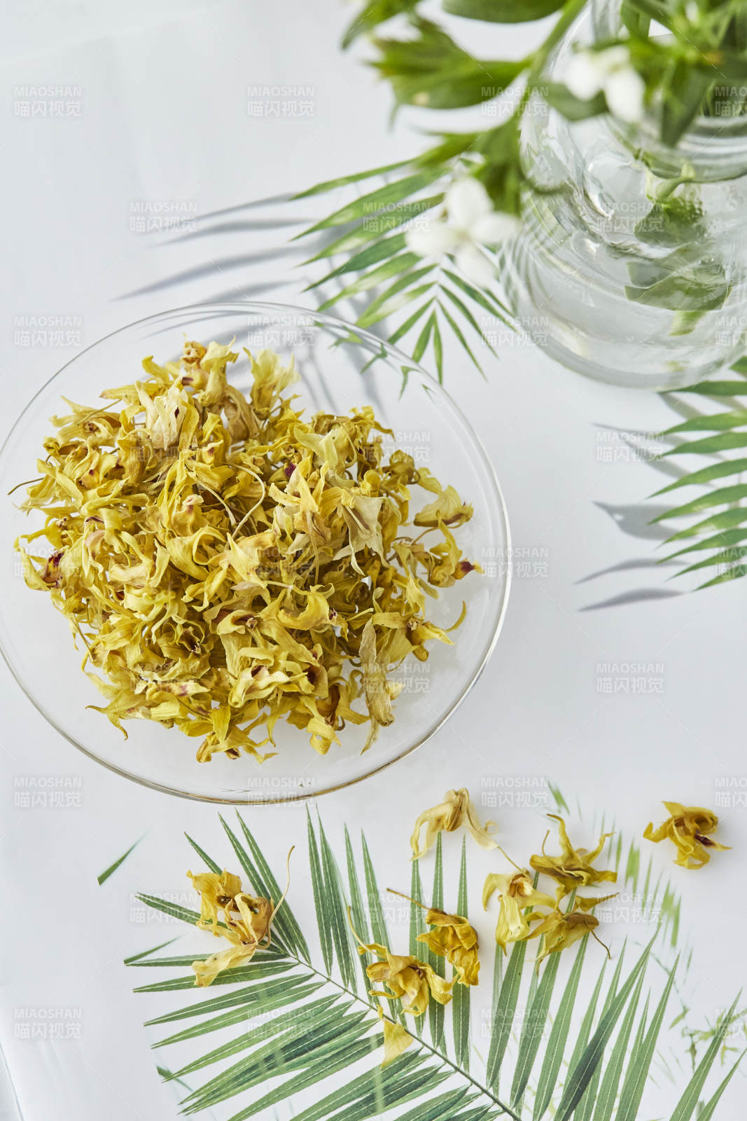 石斛花静谧之美图片