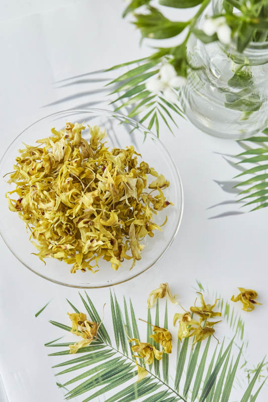 石斛花静谧之美图片