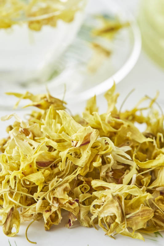 石斛花特写图片