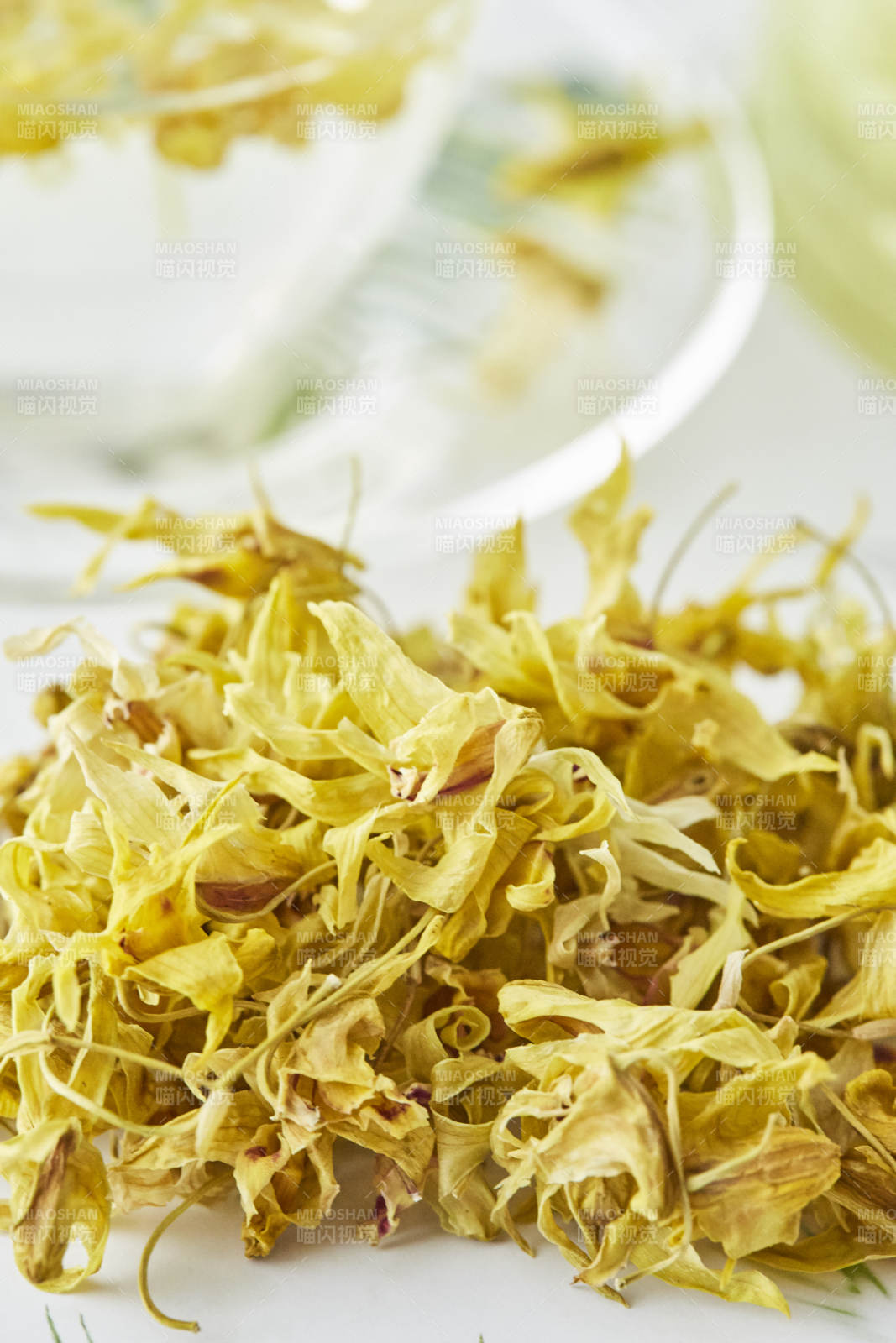 石斛花特写图片