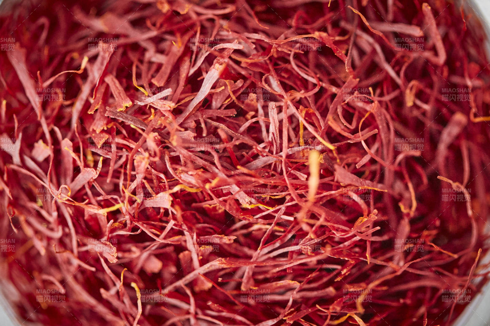 藏红花特写图片