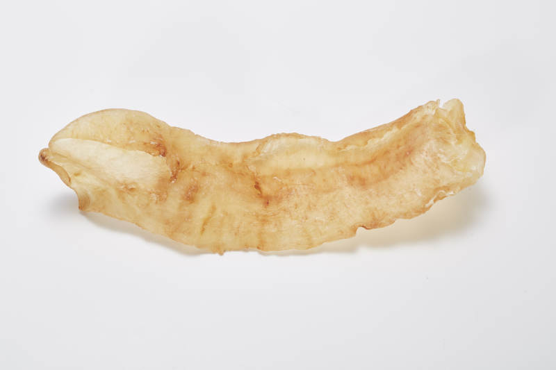 鱼胶花胶白底图图片