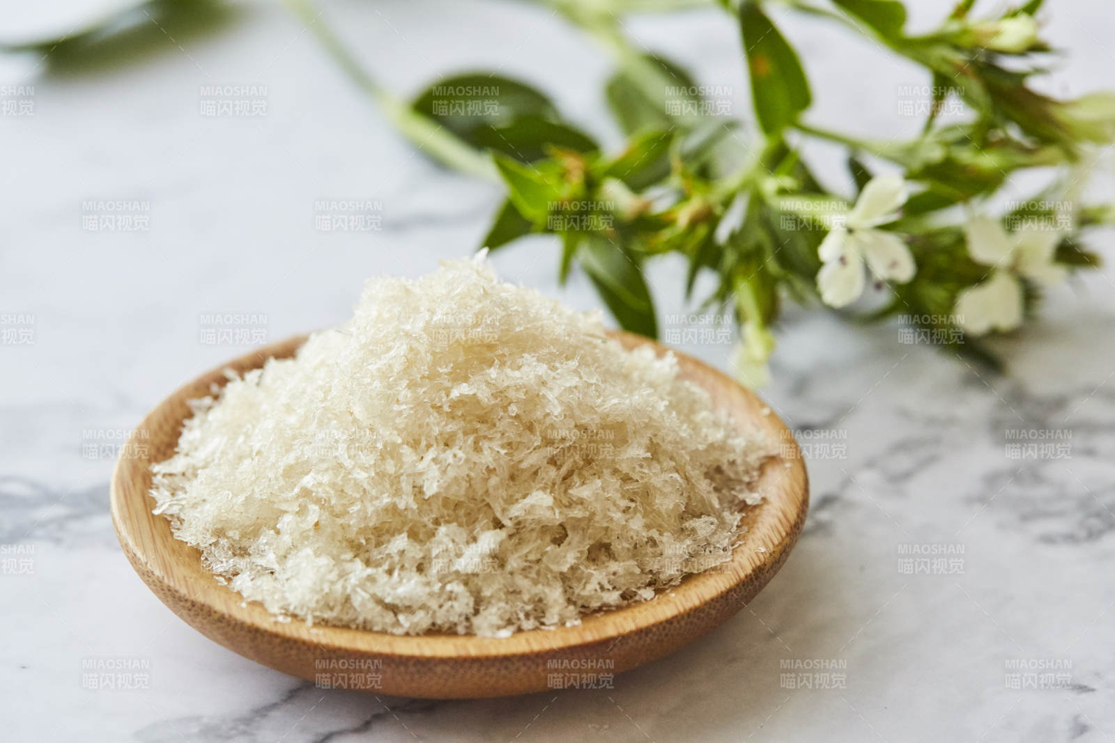 燕窝碎静物图图片