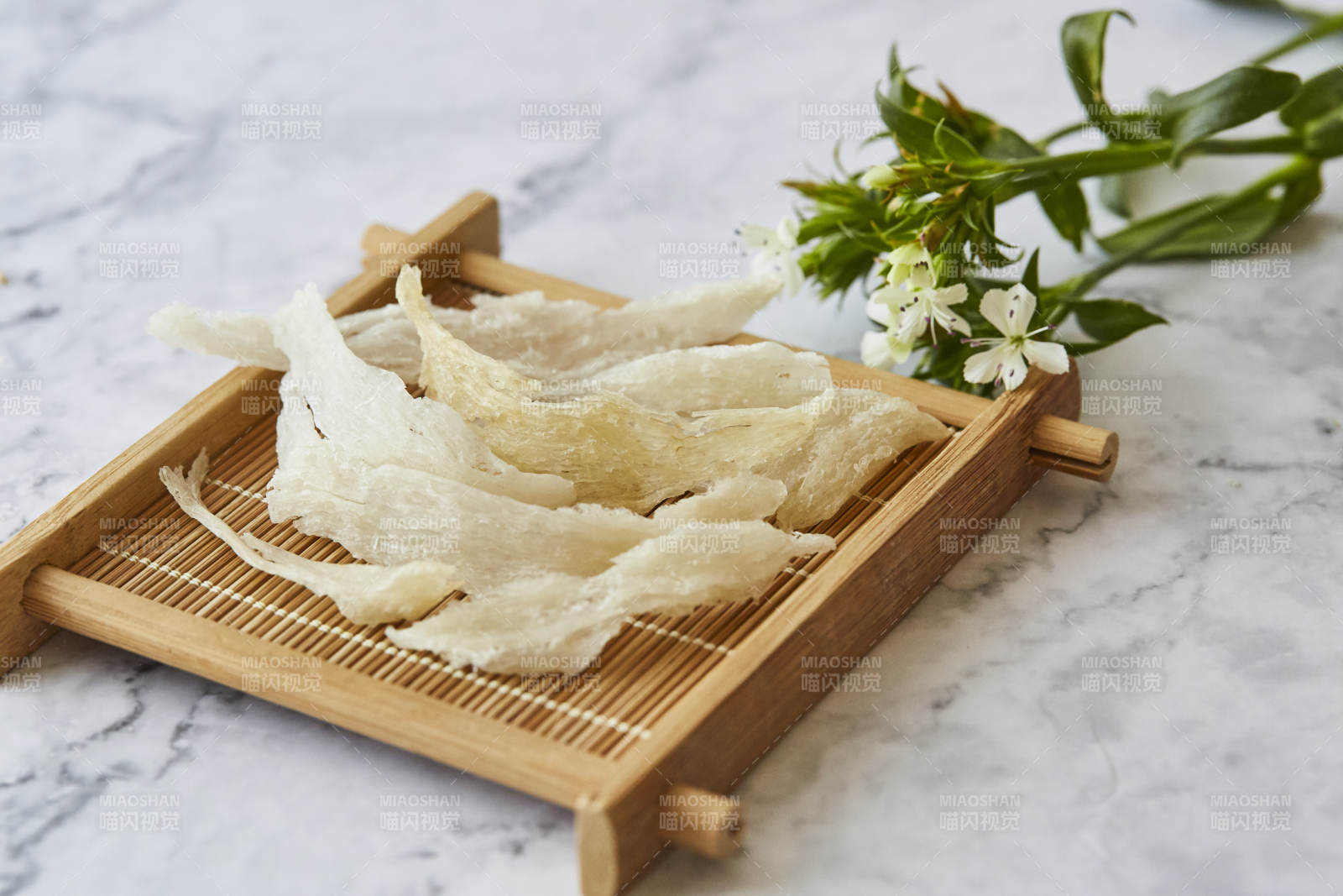 燕窝与绿植静谧之美图片