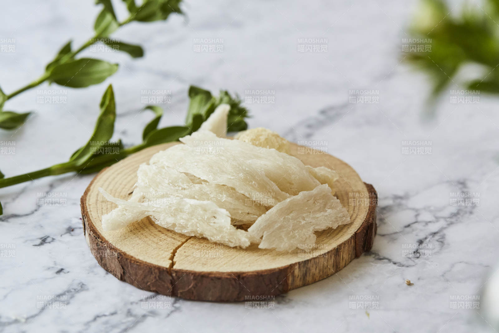 燕窝片与绿叶装饰图片