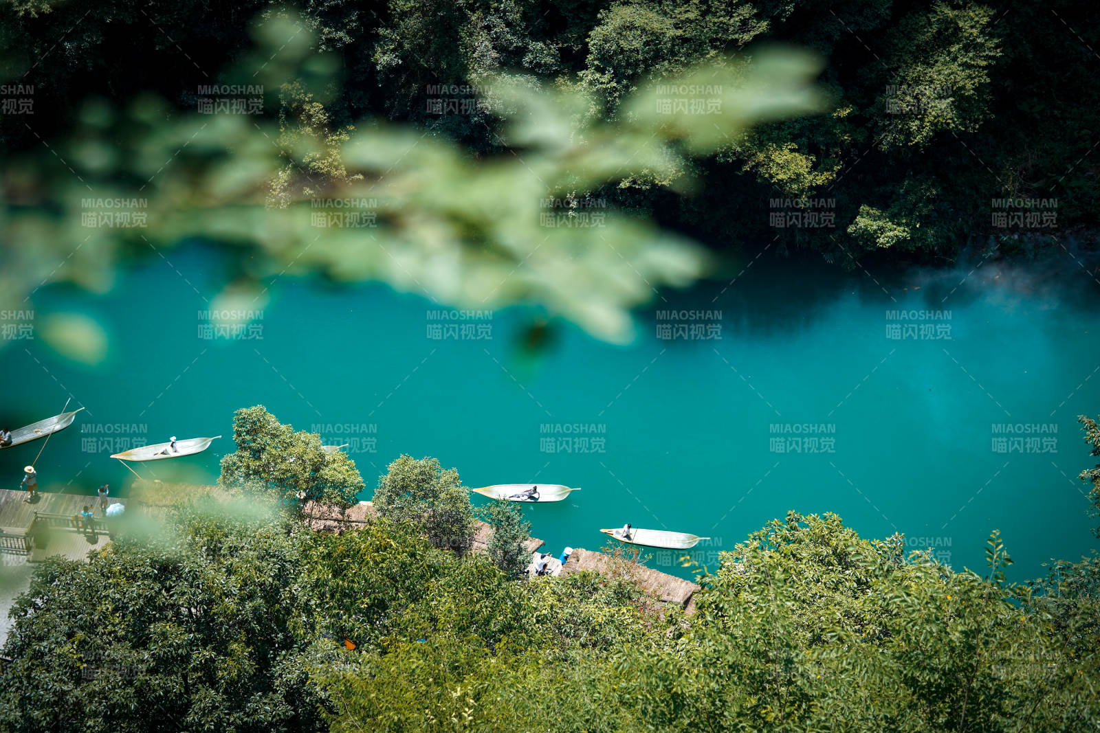 碧水绿树间的宁静小舟 恩施屏山峡谷图片