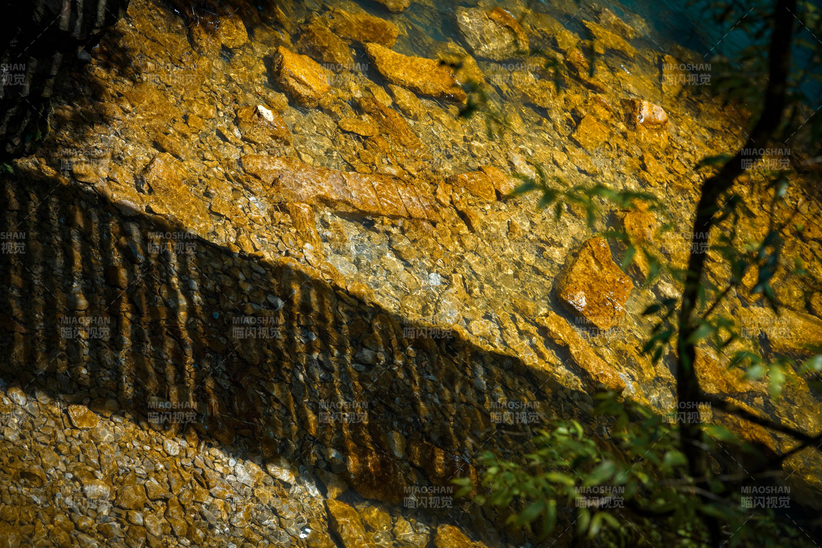 清澈溪流映树影图片