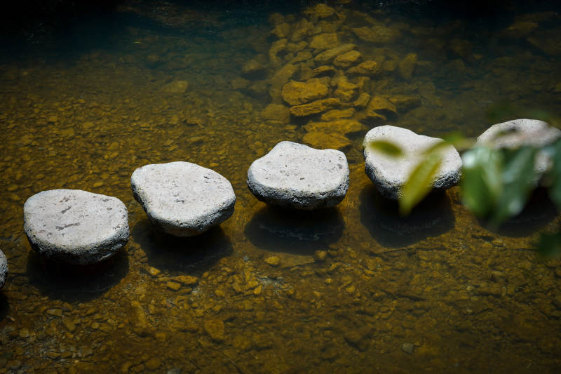 水中石阶 绿叶点缀图片