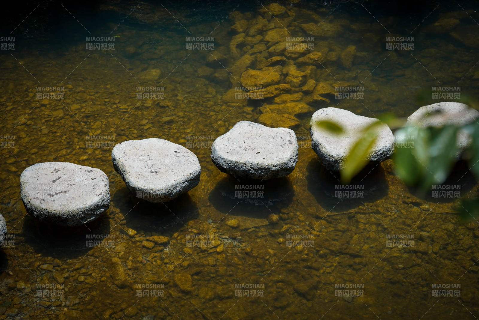 水中石阶 绿叶点缀图片