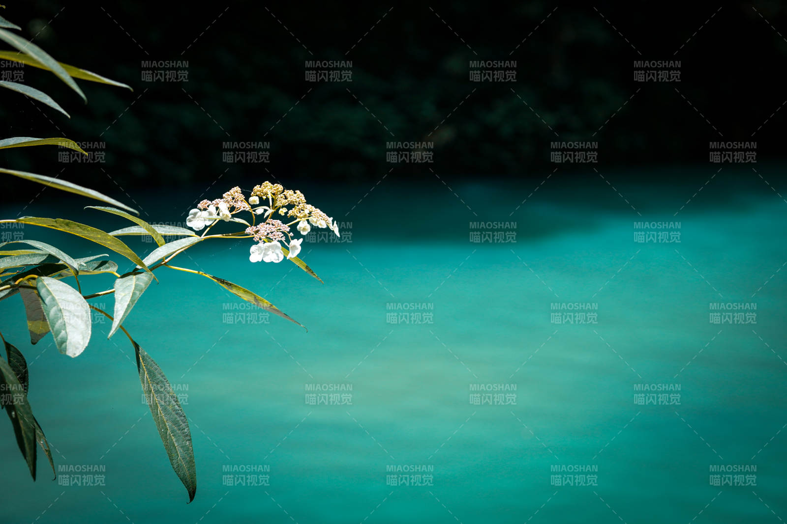 湖畔花影 静谧时光 恩施屏山峡谷图片