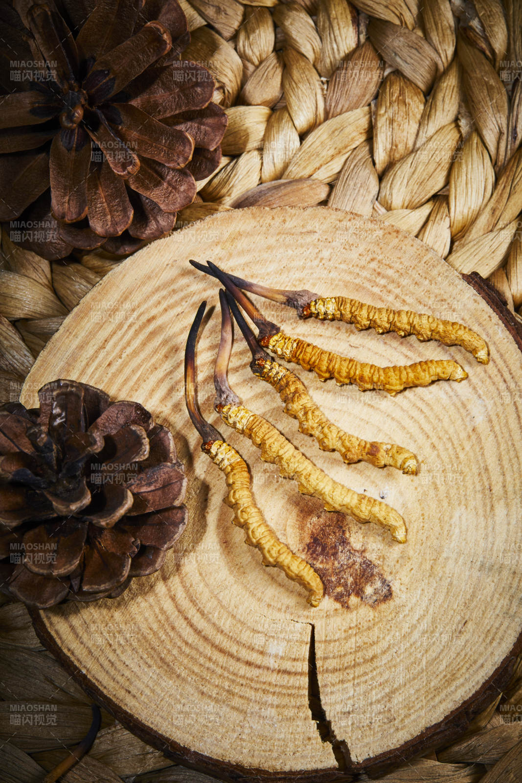 冬虫夏草与松果的自然组合图片