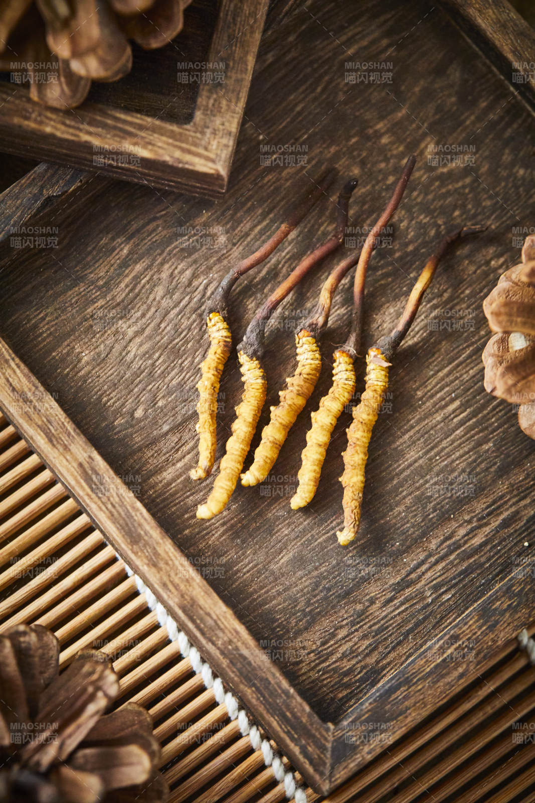 冬虫夏草特写图图片