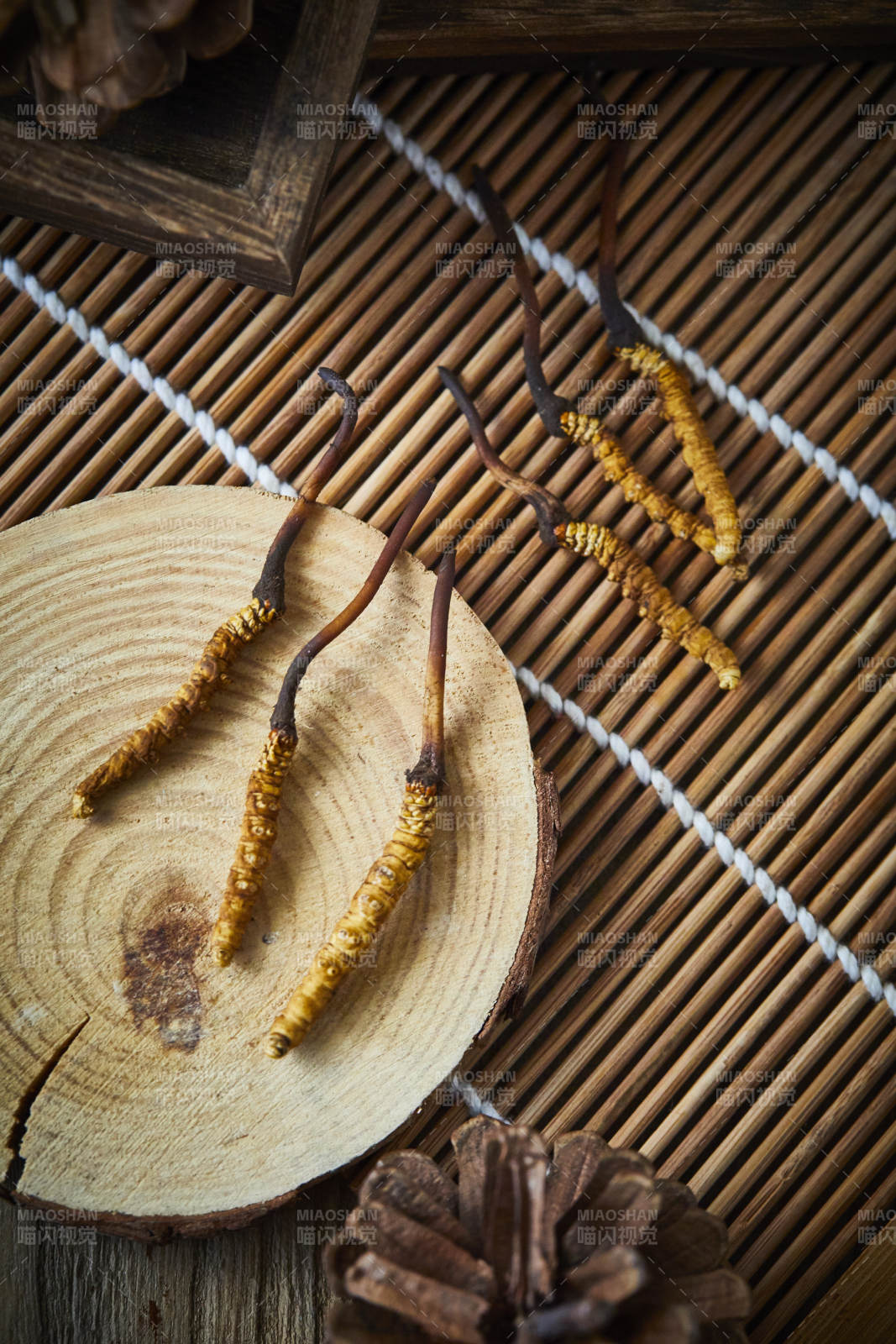 冬虫夏草与松果的静谧之美图片