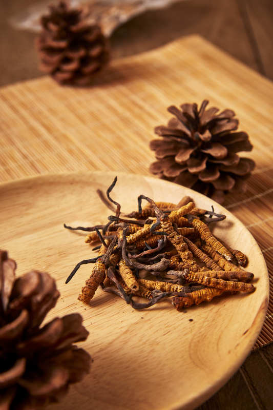 冬虫夏草与松果的静谧之美图片