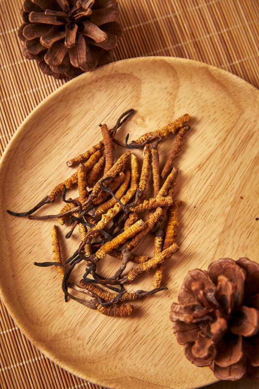 冬虫夏草与松果特写图片