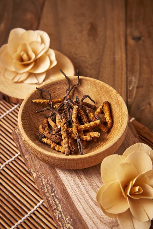 冬虫夏草与木碗装饰图片