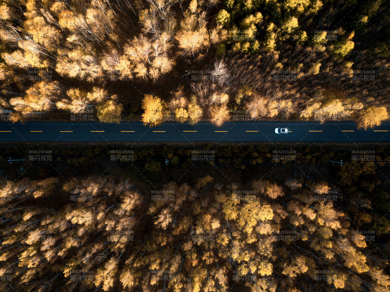 根白路秋色图片