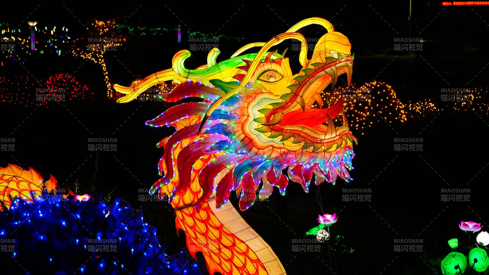 夜色中的彩龙灯饰图片