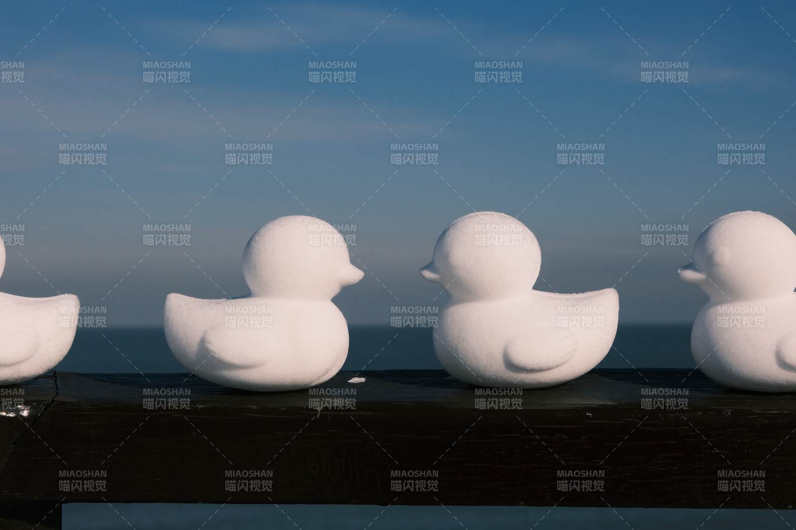 雪鸭子排成一排图片