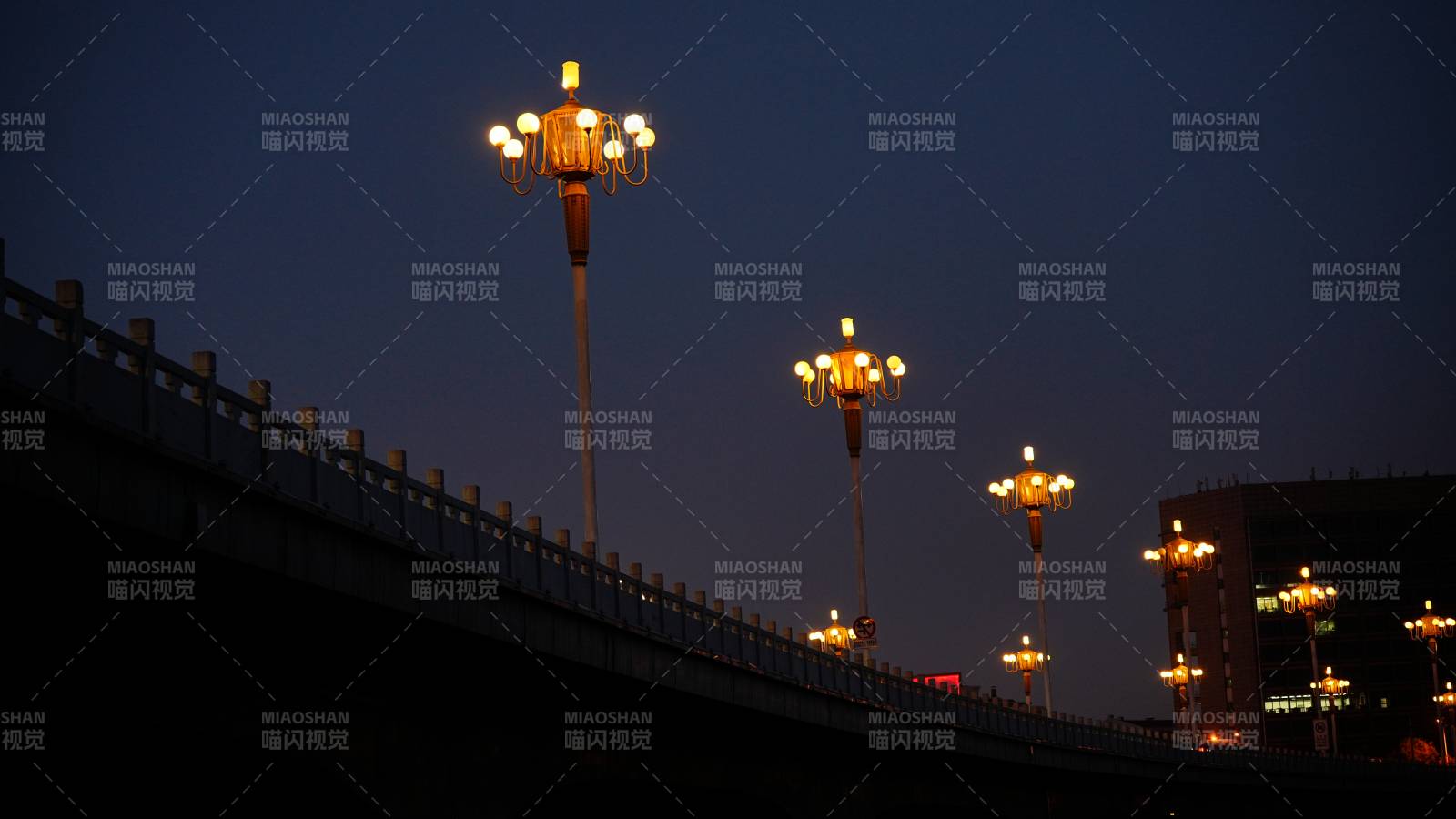 夜幕下的华丽路灯图片