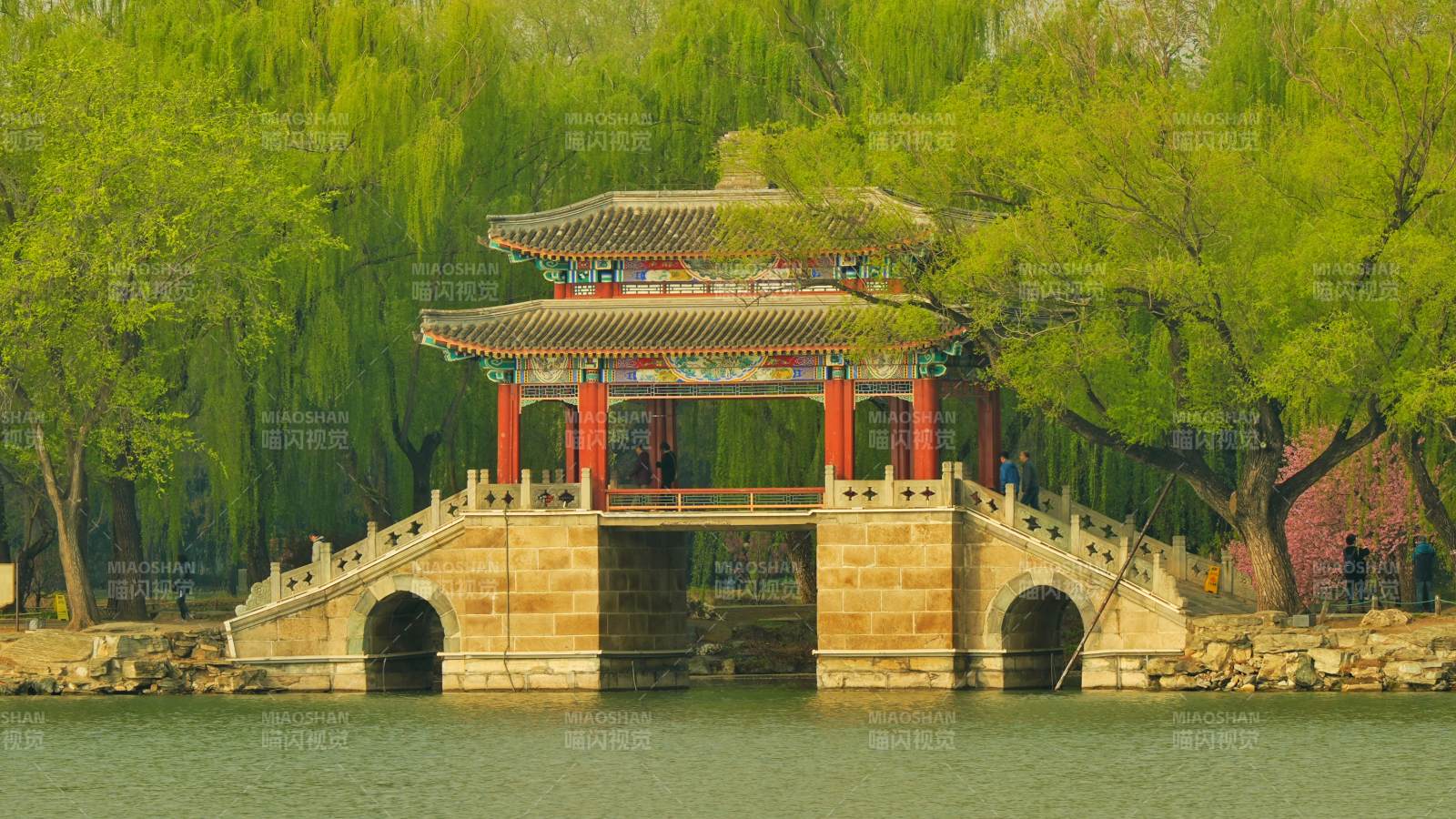 颐和园湖畔古亭映春光图片