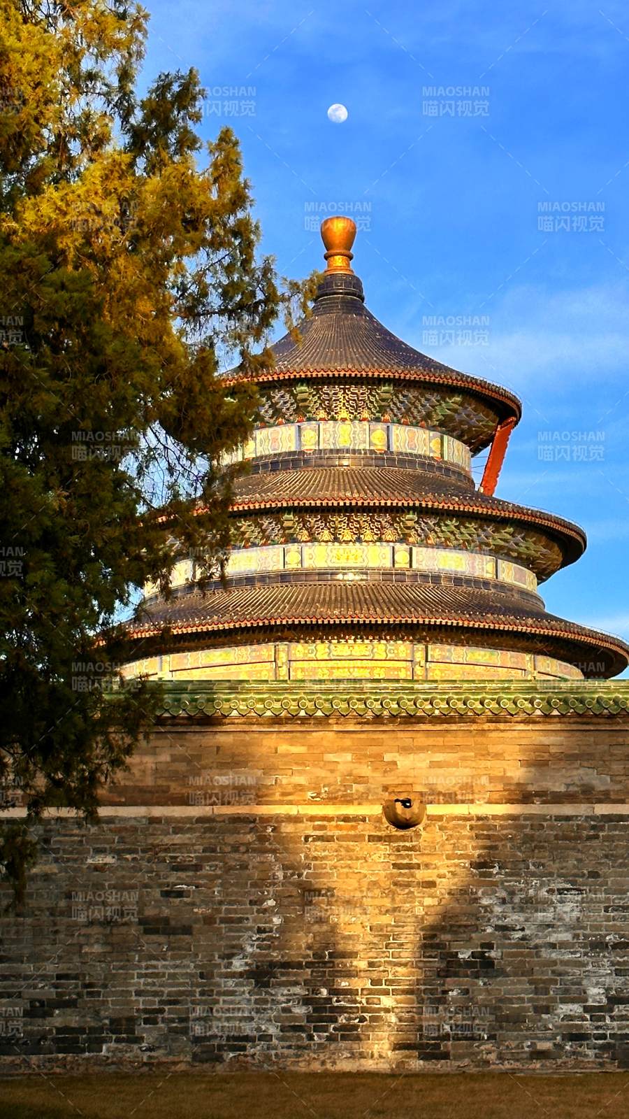 天坛秋色宜人图片