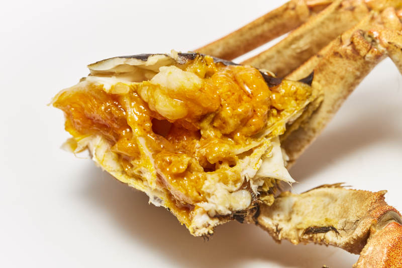 蟹黄饱满 鲜美诱人图片