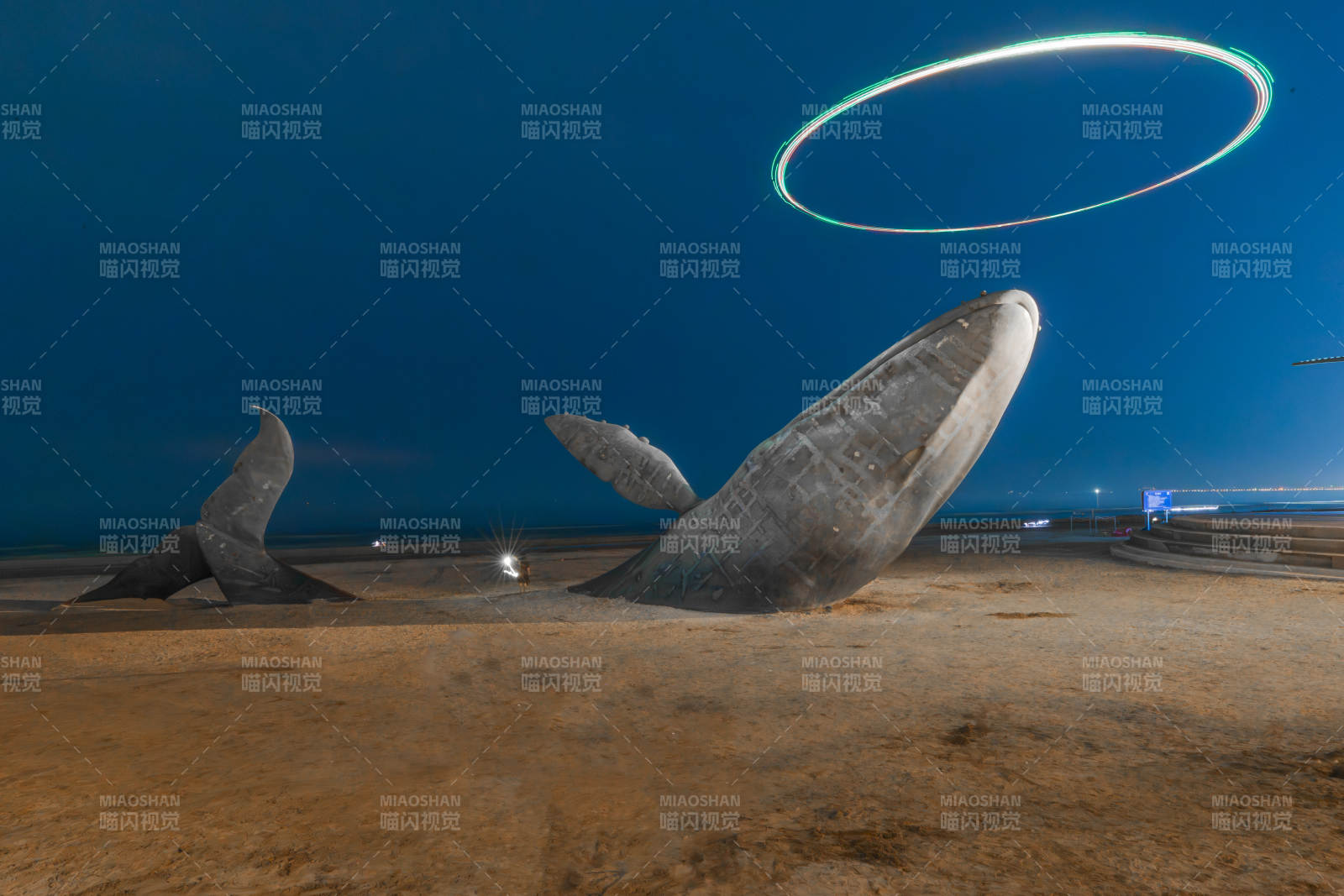 烟台孤独的鲸图片